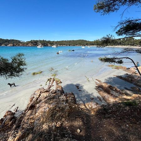 Appartement Plage Piscine Et Tennis Inclus ラ・ロンド・レ・モール エクステリア 写真