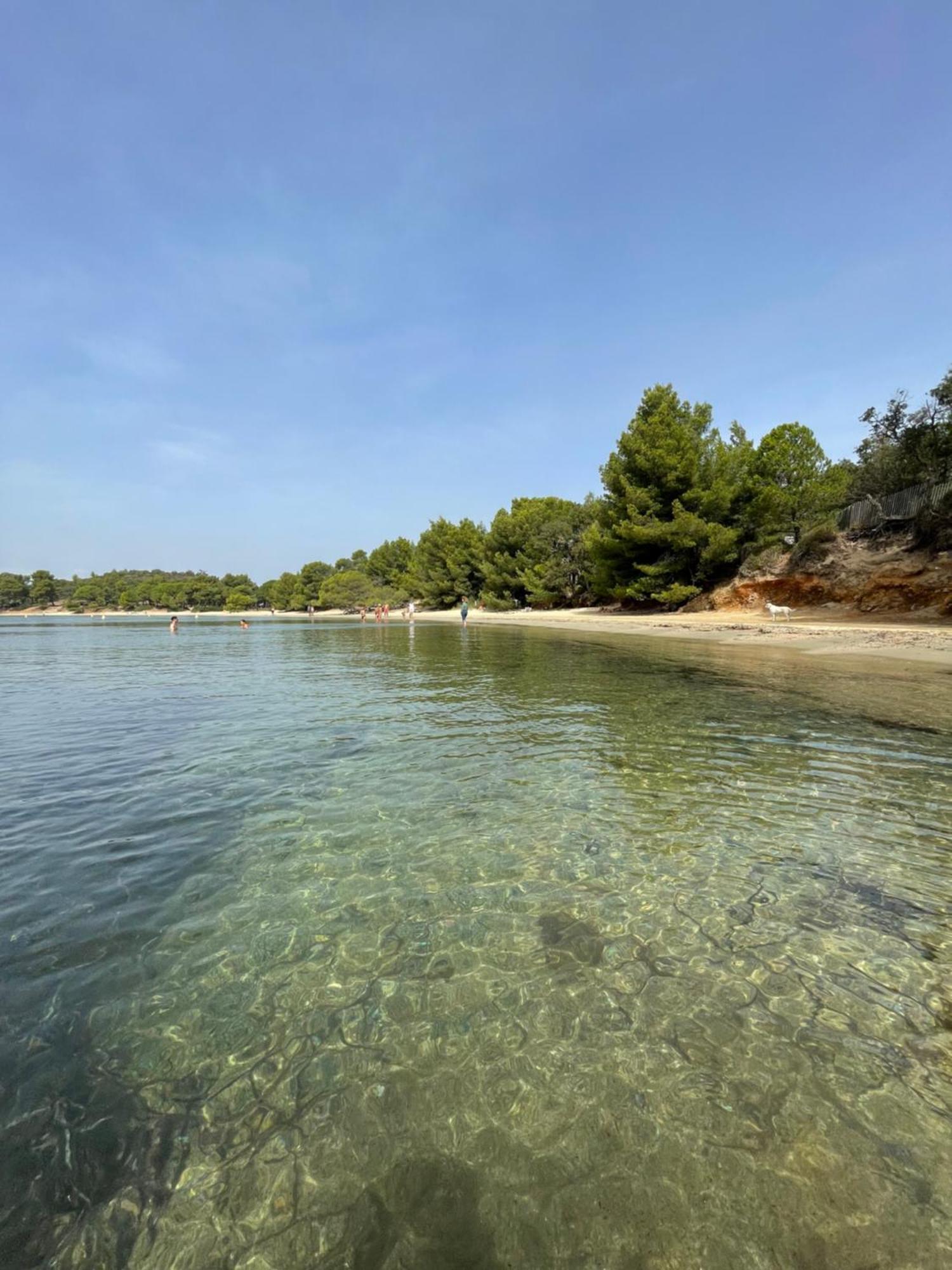 Appartement Plage Piscine Et Tennis Inclus ラ・ロンド・レ・モール エクステリア 写真